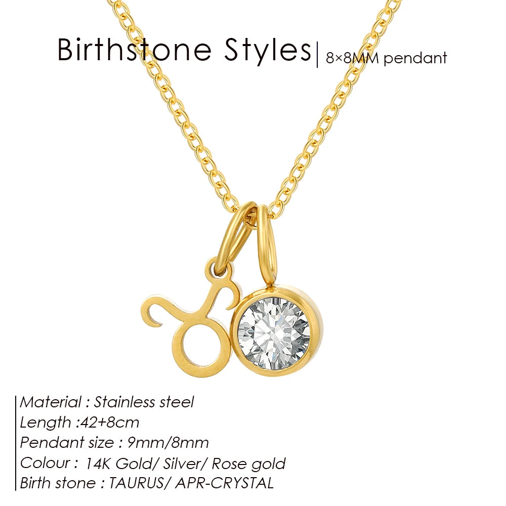EManco - Birthstone Constellation Double Pendant Necklace, 12 Zircon Stainless Steel Jewelry, DIY Necklace.