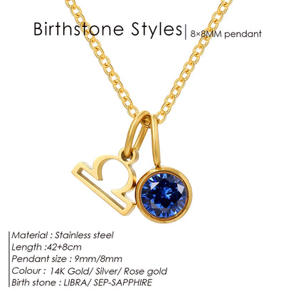 EManco - Birthstone Constellation Double Pendant Necklace, 12 Zircon Stainless Steel Jewelry, DIY Necklace.