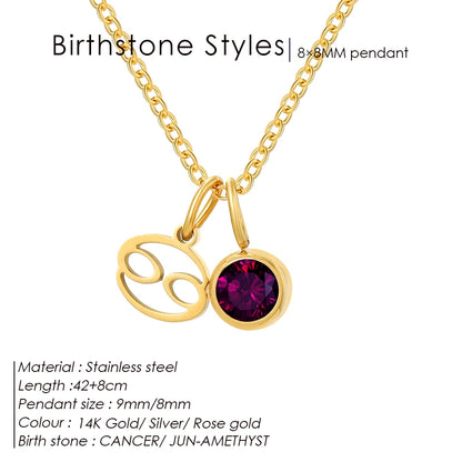 EManco - Birthstone Constellation Double Pendant Necklace, 12 Zircon Stainless Steel Jewelry, DIY Necklace.