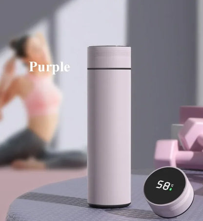 Taza Termo con pantalla de temperatura de 500ML, botella Termo dividida de acero inoxidable, taza aislada al vacío para exteriores, regalo del Día del Padre