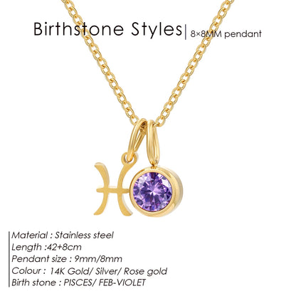 EManco - Birthstone Constellation Double Pendant Necklace, 12 Zircon Stainless Steel Jewelry, DIY Necklace.